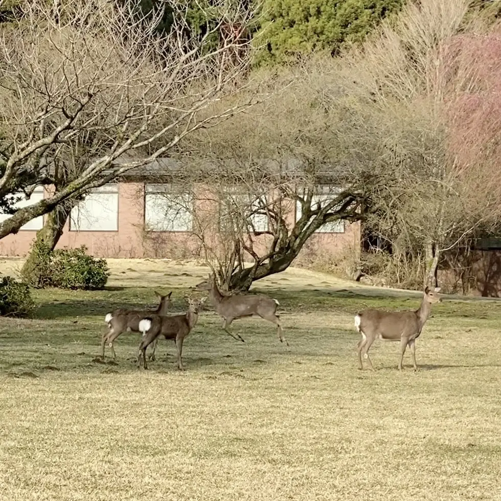 リンクコーデで春の湯河原温泉旅②の画像_7