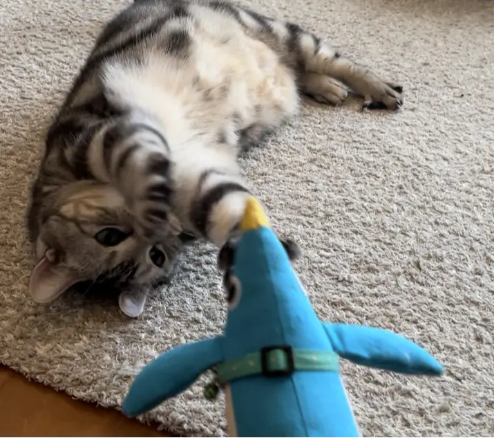 ペンギンの蹴りぐるみと戦うアラン