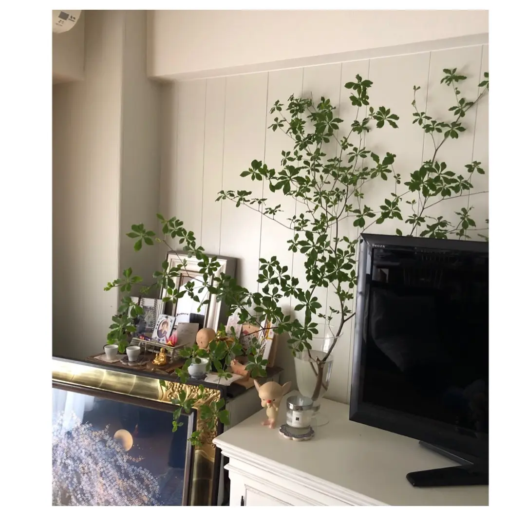 今月のお花の画像_2