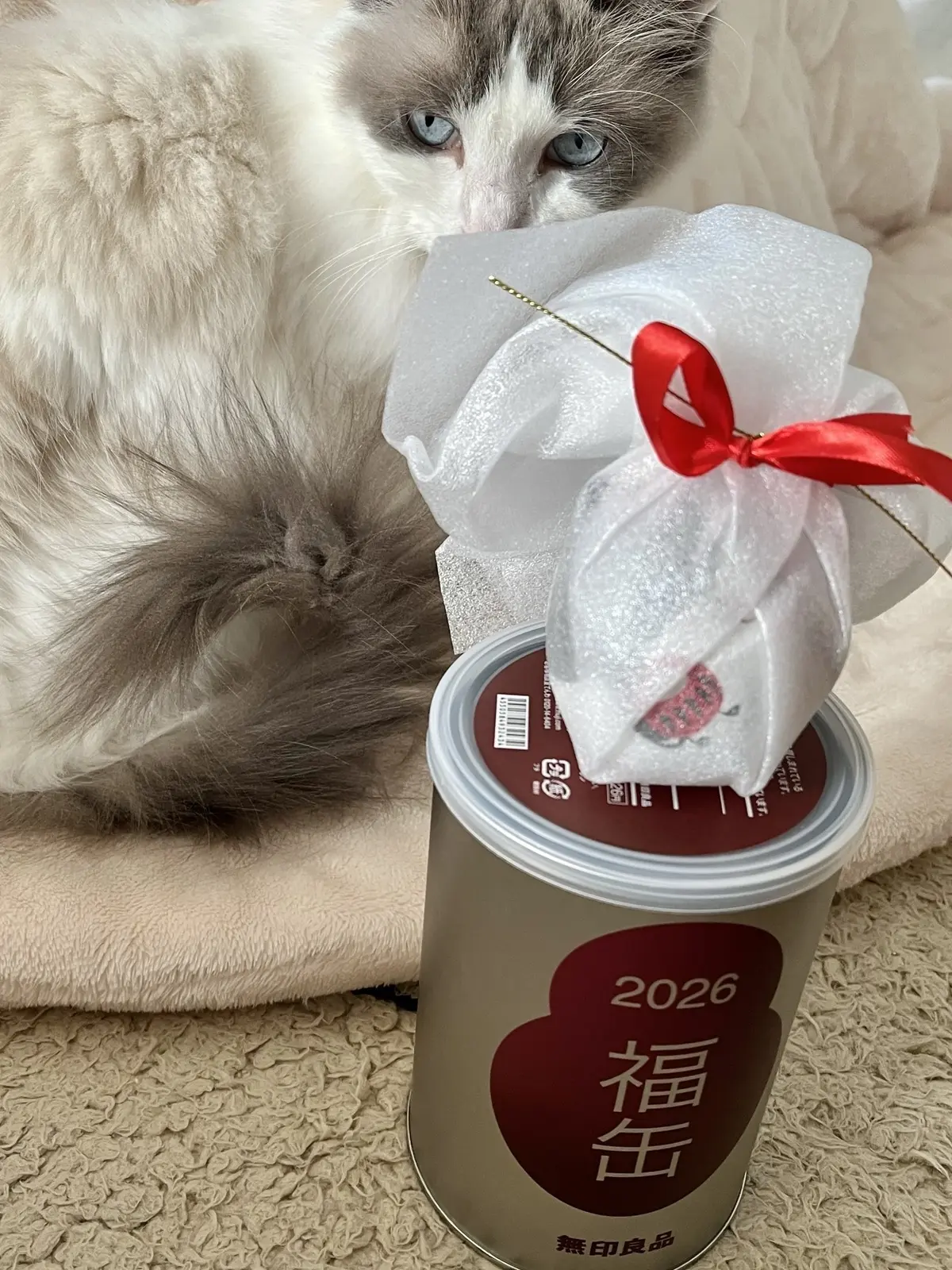 福缶と縁起物と猫（上の子）