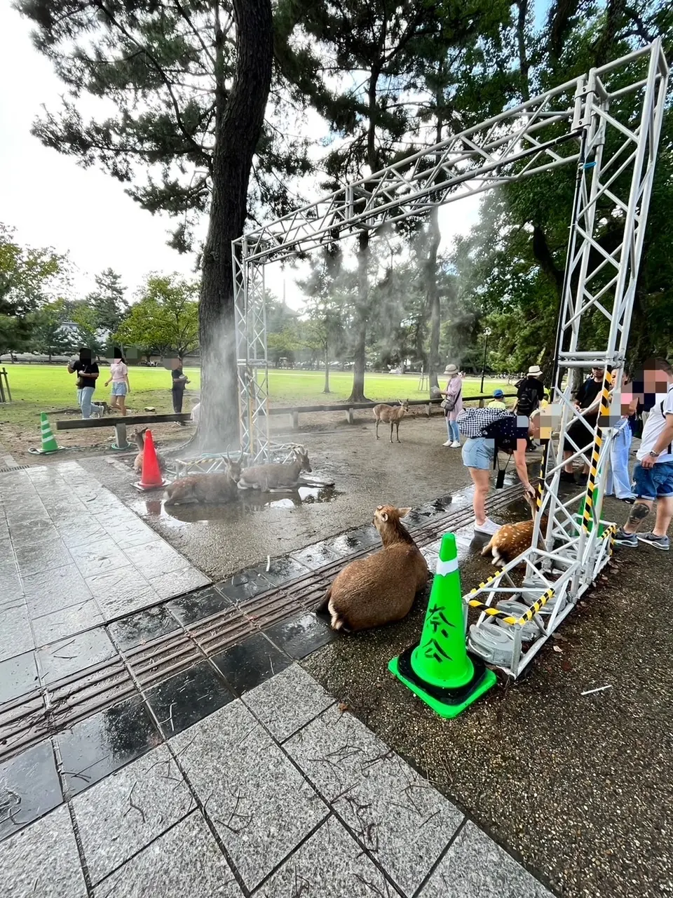 兎にも角にもアッツイ～！こりゃあええわ～ちょっと座ってこ…ｂｙ鹿さん