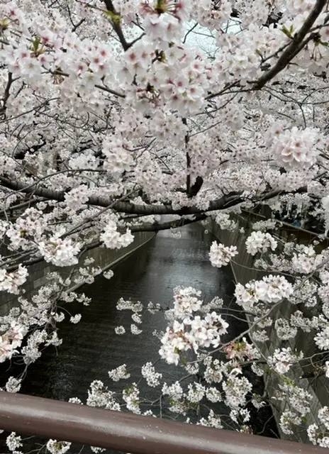 雨の日も履いちゃお♡GUのバレエシューズの画像_1