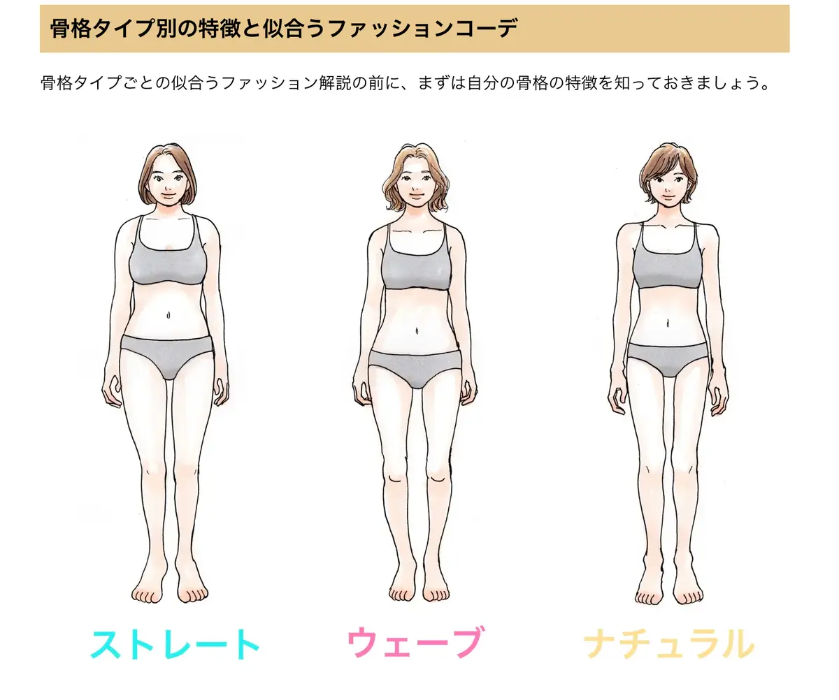 骨格診断　ストレート　ウエーブ　ナチュラル