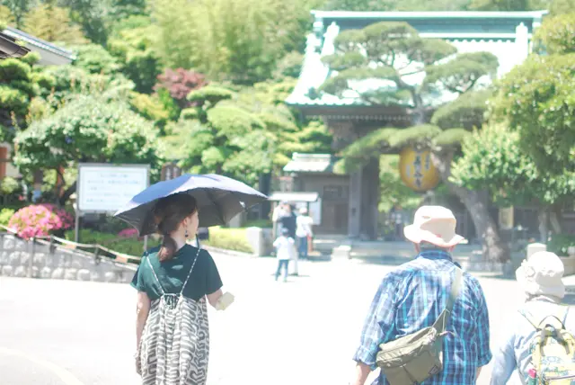 【さかぽんの冒険】海とアジサイの旅❤️@の画像_4