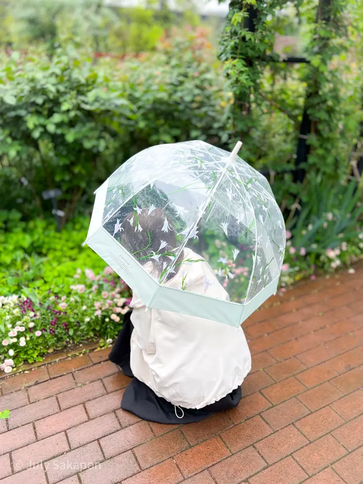 雨のバラ園へ行ってみた@横浜イングリッシの画像_16