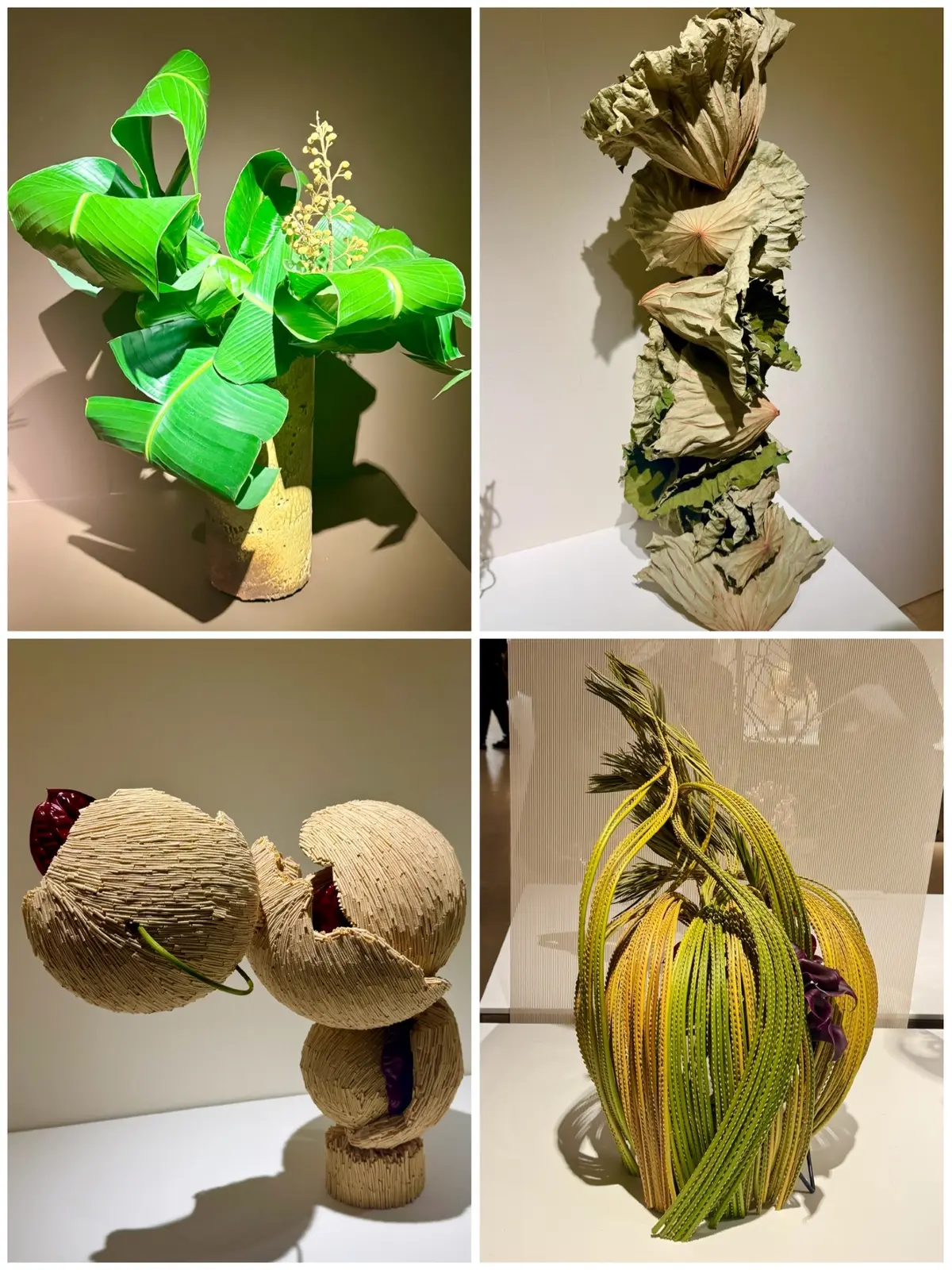 ZARAのワンピースで芸術の秋を満喫！「の画像_12