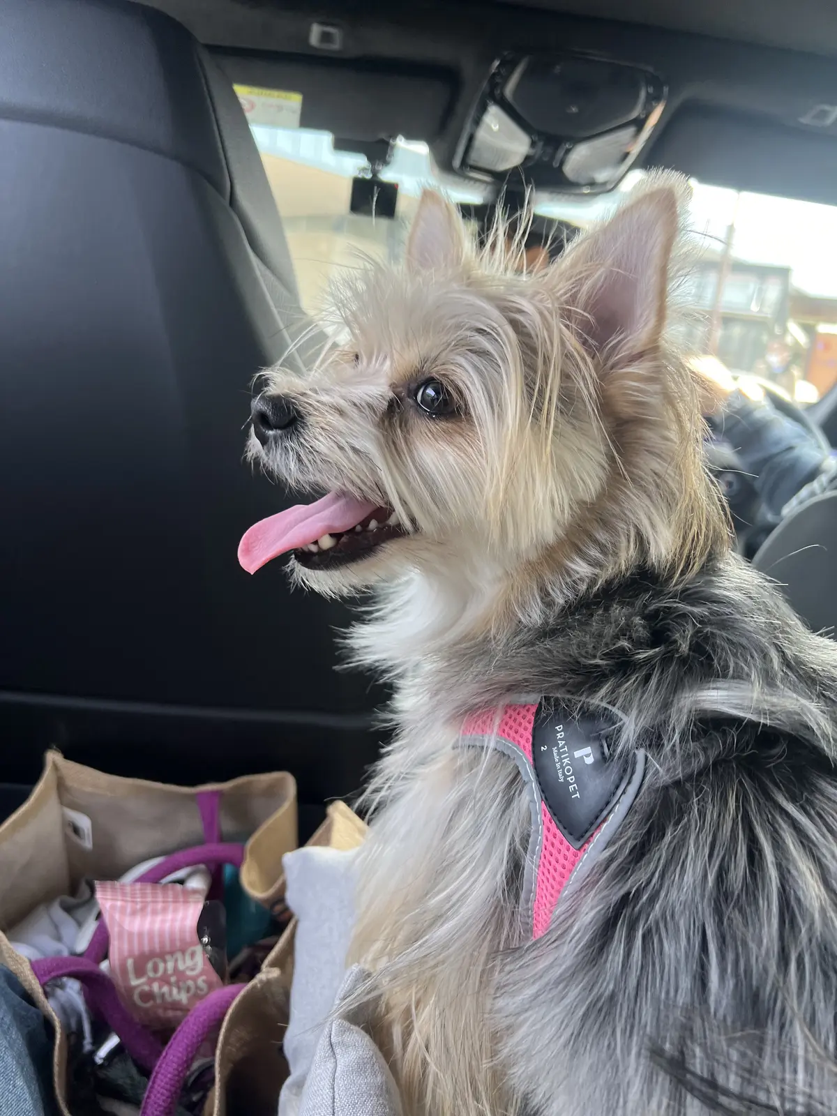 車に乗っていざ出発！