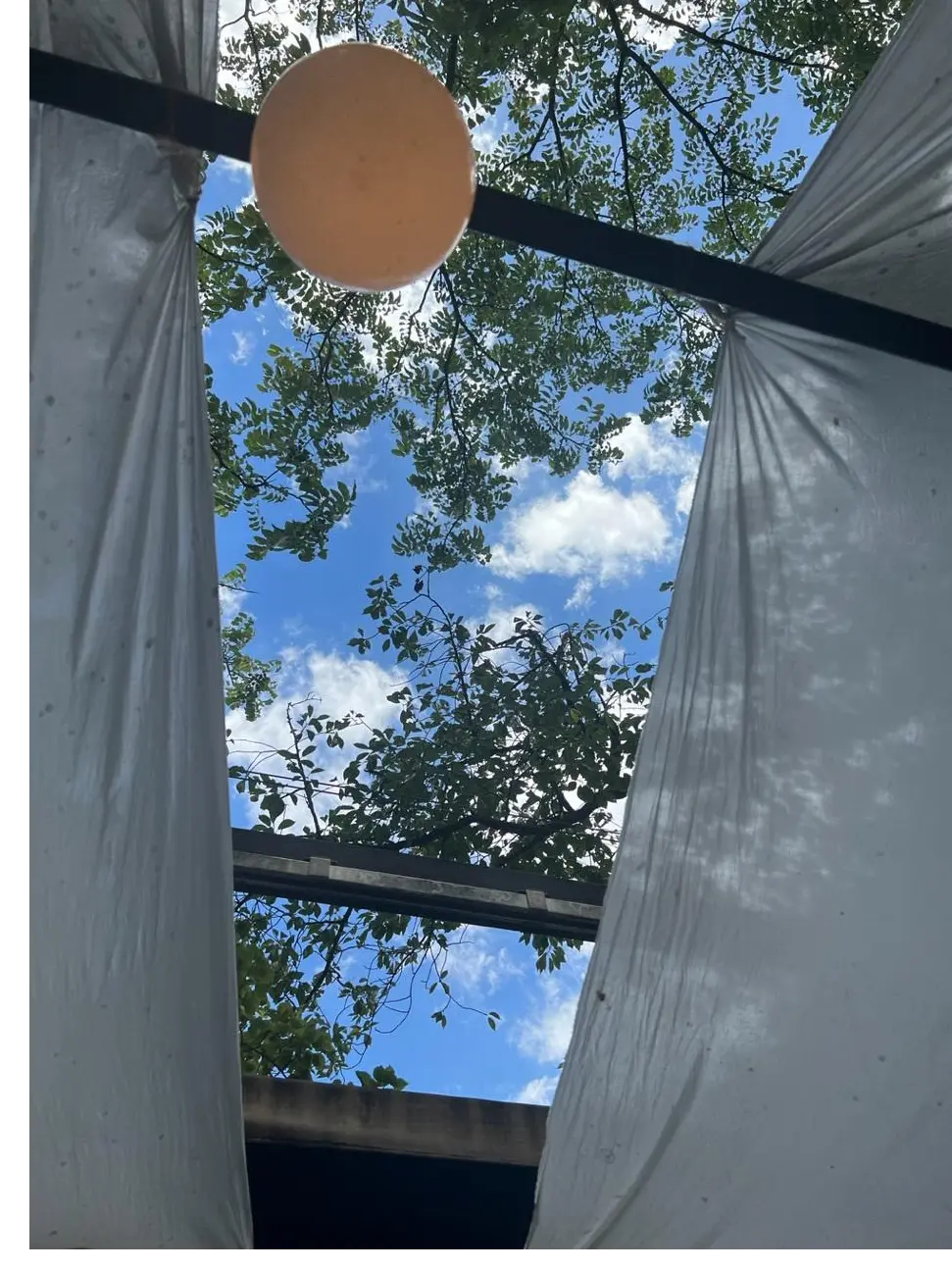 鎌倉でグリーン溢れる開放的なテラスで朝活の画像_3