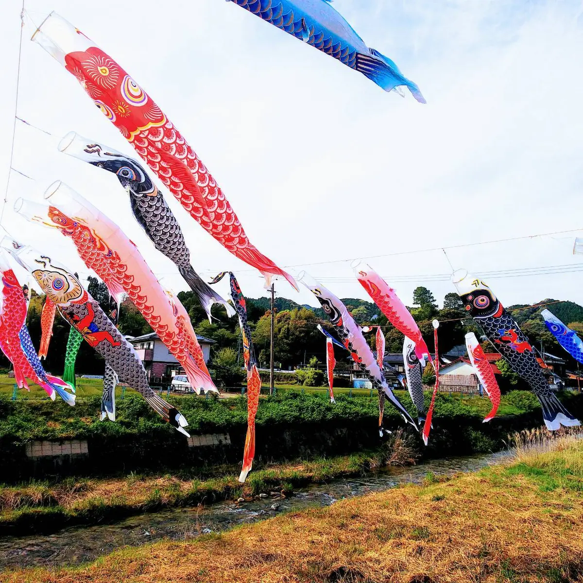 『ゴールデンウィークの思い出』の画像_3