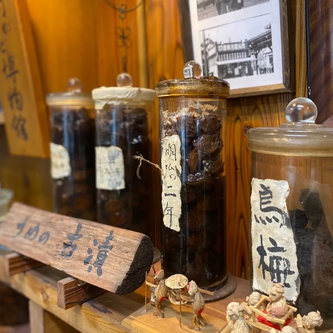 小田原運気UP日帰りtripへ　　　　　の画像_2