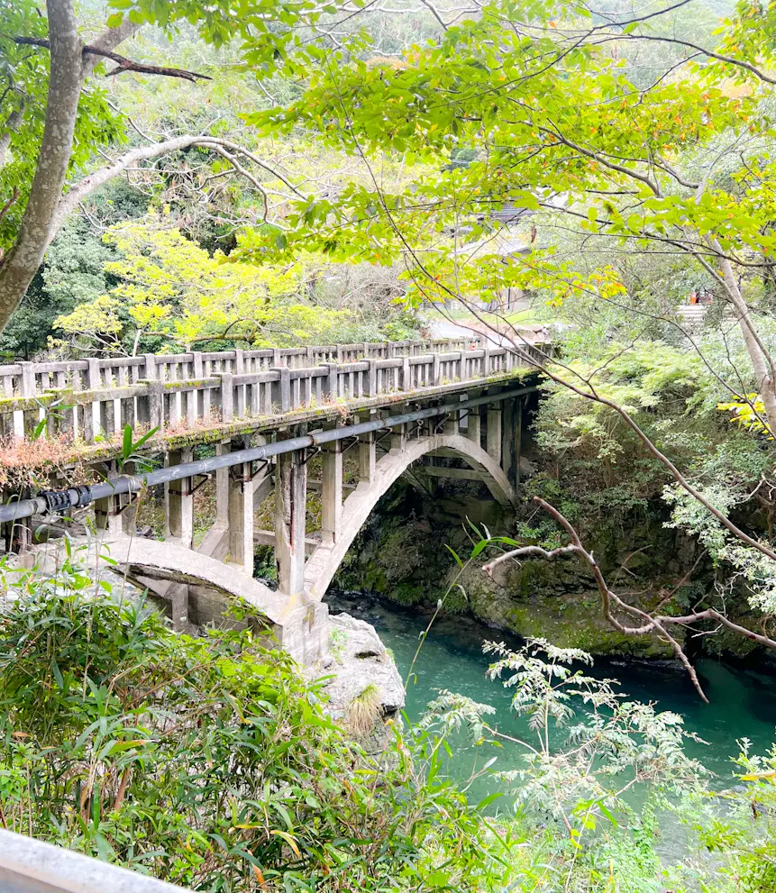 【京都】紅葉パトロール🍁瑠璃光院🍁秋の特の画像_2