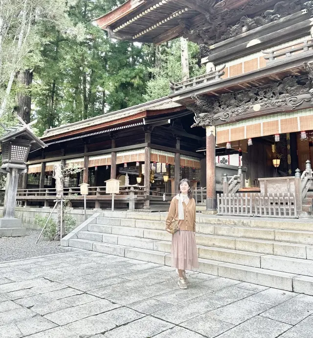 ブラウンＶネックラメカーディガンで、長野の画像_4