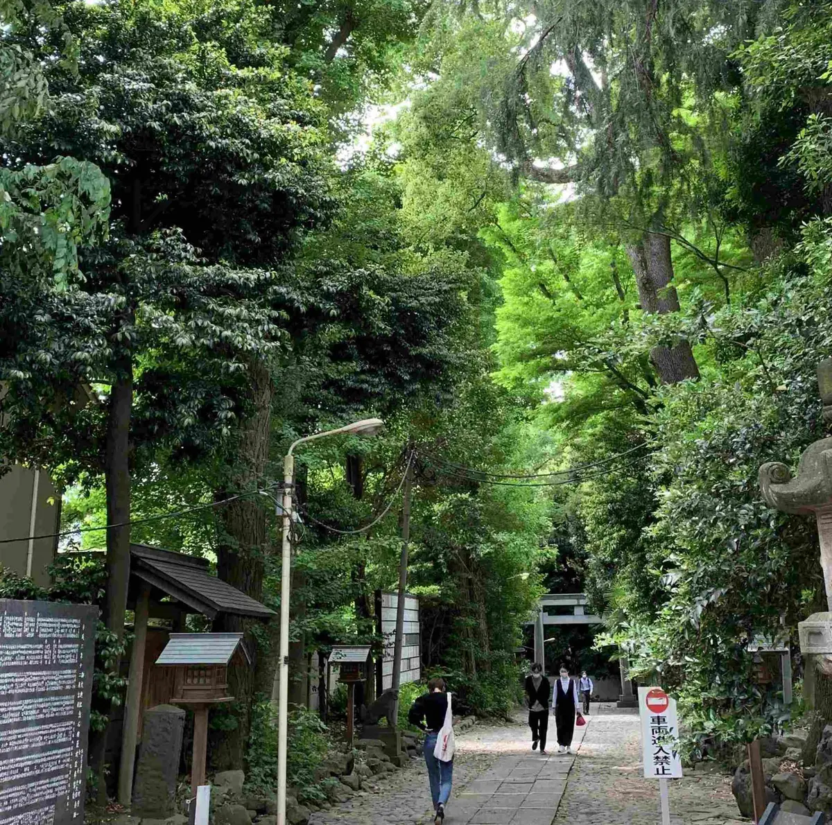 濃い緑に囲まれた代々木八幡宮