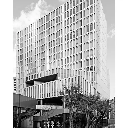 アラフィー世代も、大学・大学院へ！ 現役の画像_4