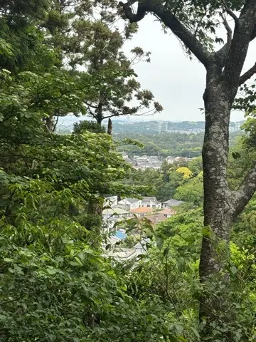 新緑眩しい鎌倉ハイキングに出掛けませんかの画像_20