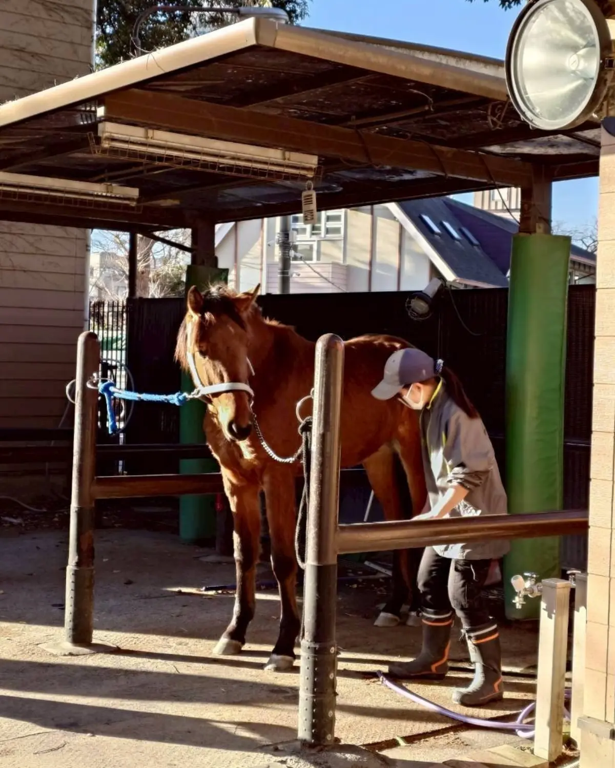 代々木ポニー公園