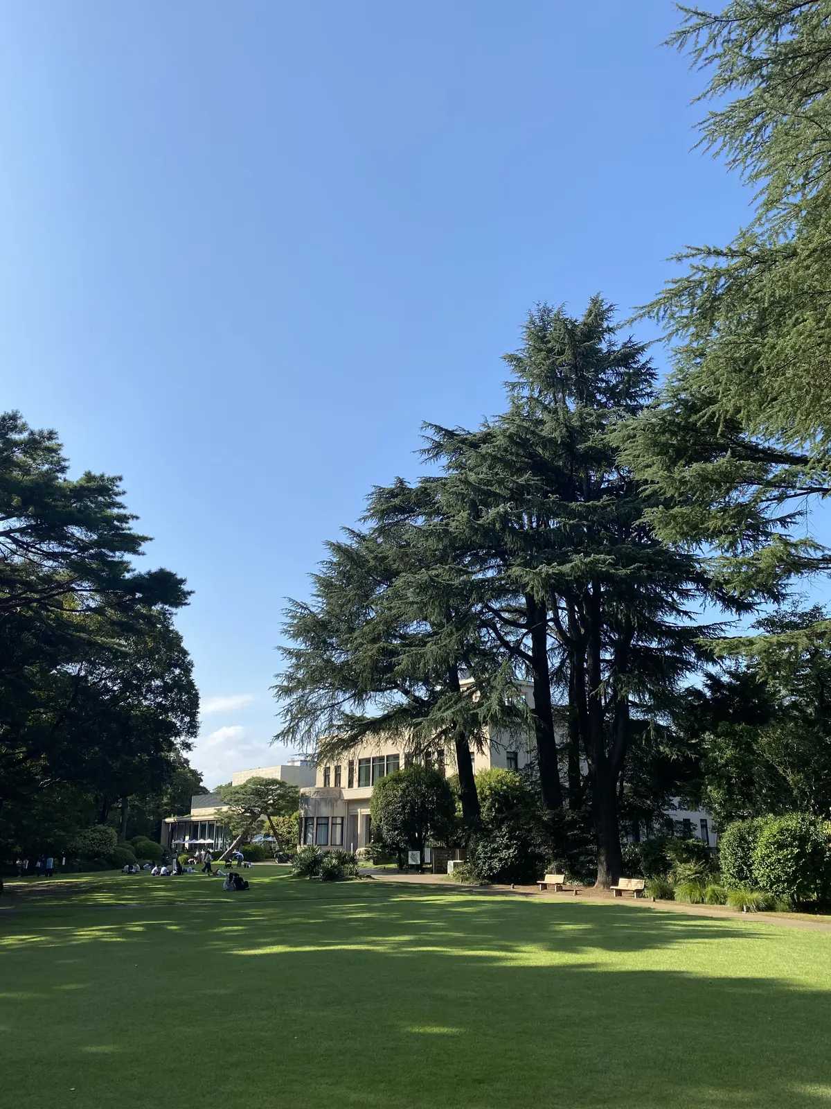 広々とした芝庭越しに見える東京都庭園美術館本館と青空