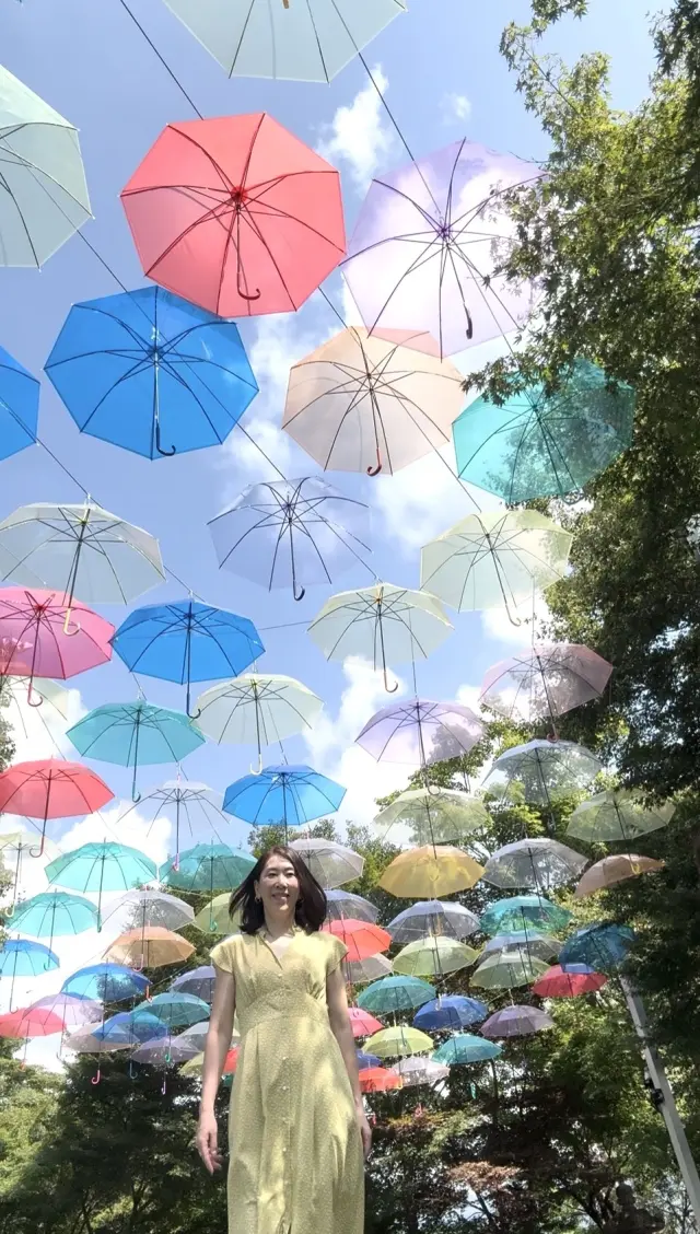 床もみじで有名な宝徳寺へ♪秋を待つ心地良の画像_8
