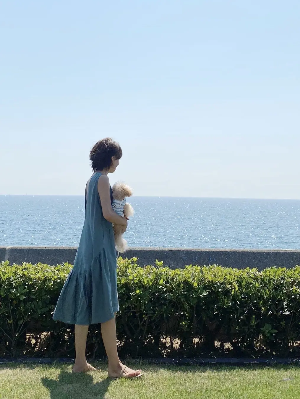 ワンコと一緒の夏休みの画像_2