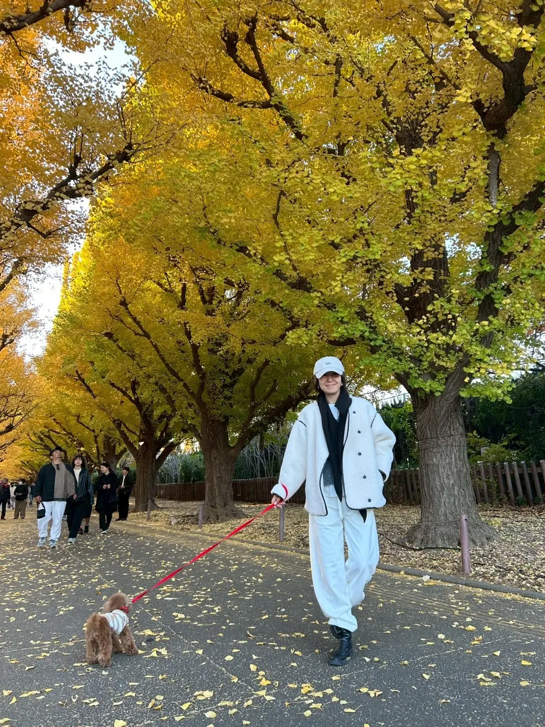 “心地よさ”と“きちんと感”が叶うきれいの画像_12