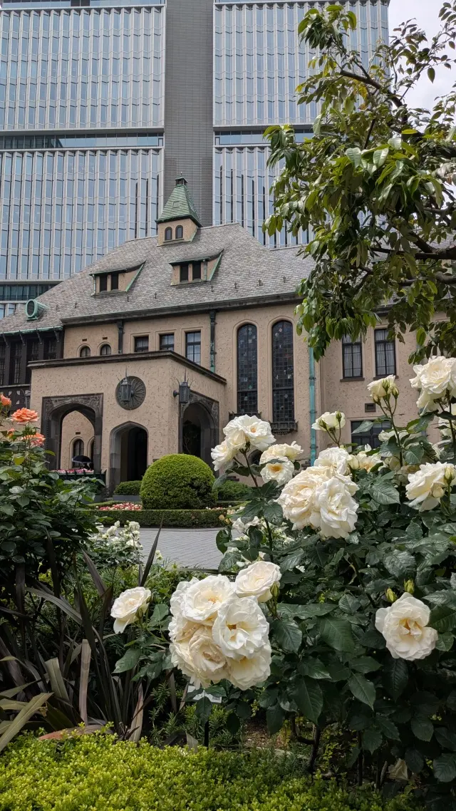 紀尾井町ガーデンテラス　薔薇　チームJマダム　お出かけ