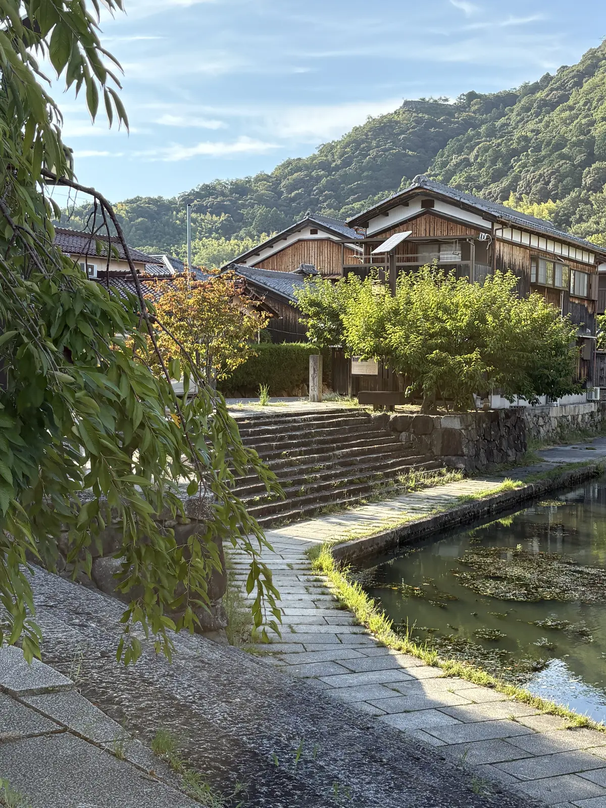 近江八幡さんぽと看板犬がいる「仁之助珈琲の画像_13