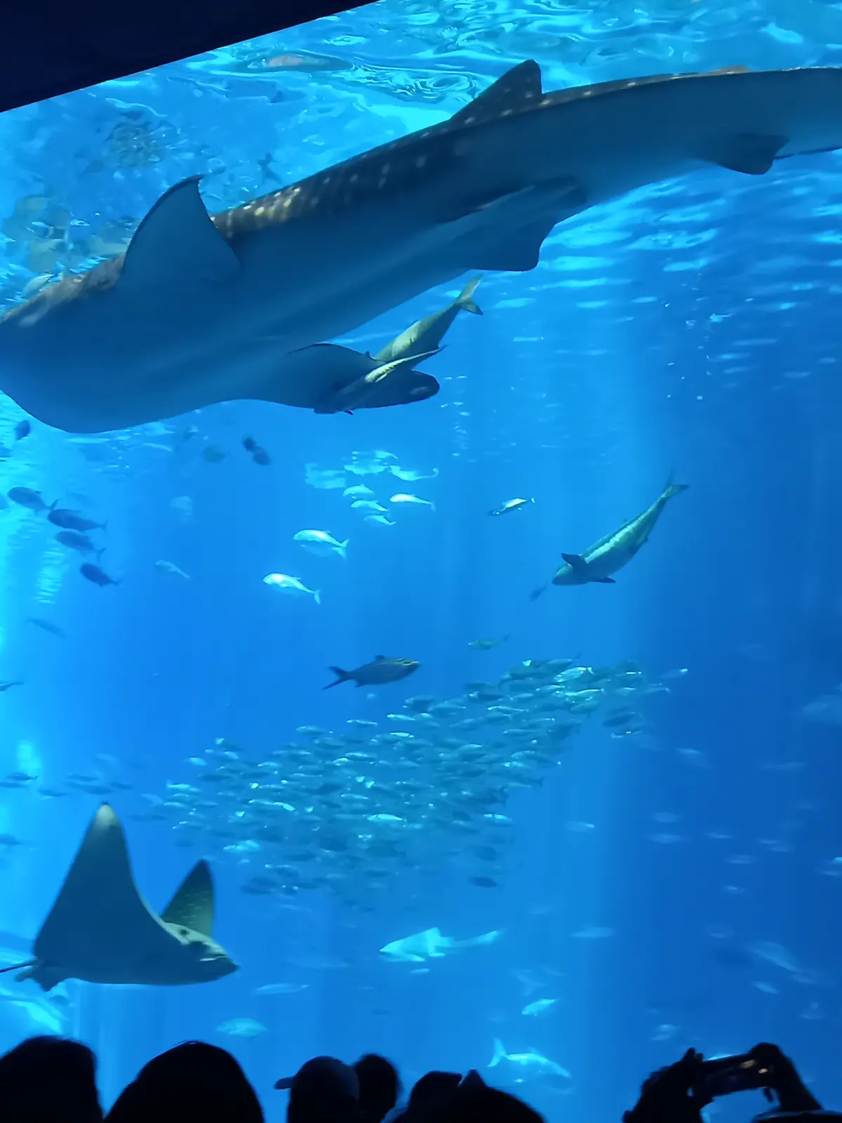 【沖縄】大人の修学旅行♡王道スポット＆沖の画像_15