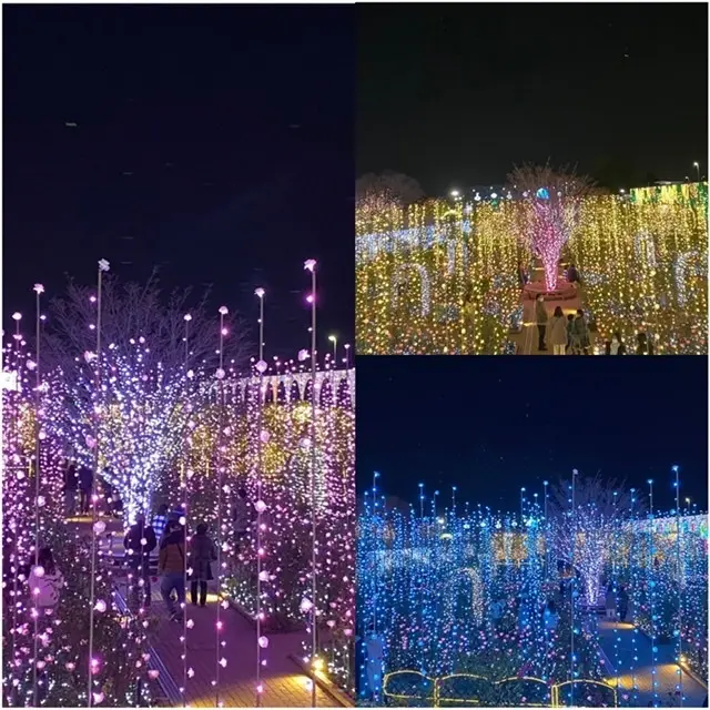 ルンルン気分で光の藤を見に♪の画像_4