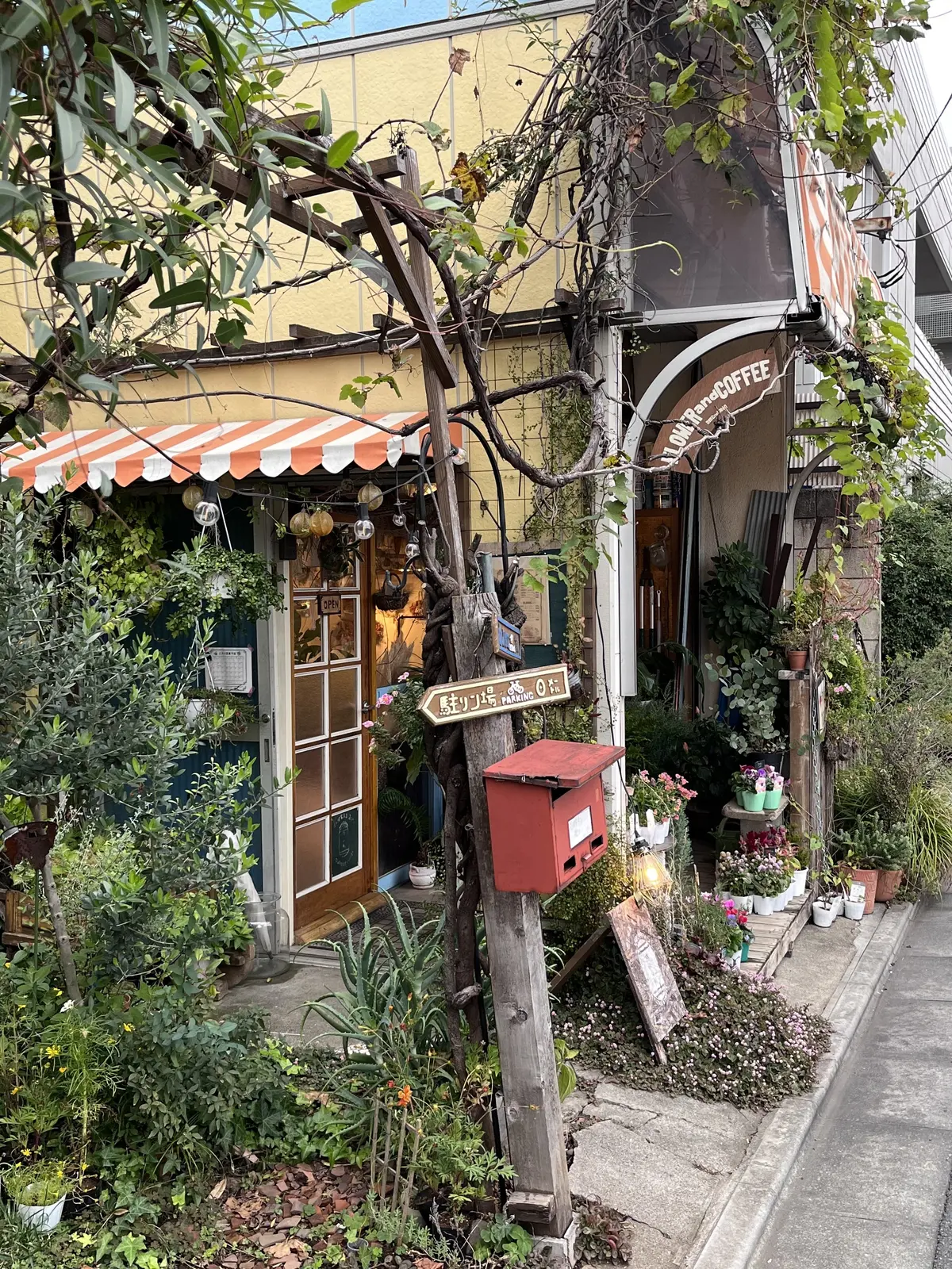 今年は早めのクリスマスリース作りの画像_1