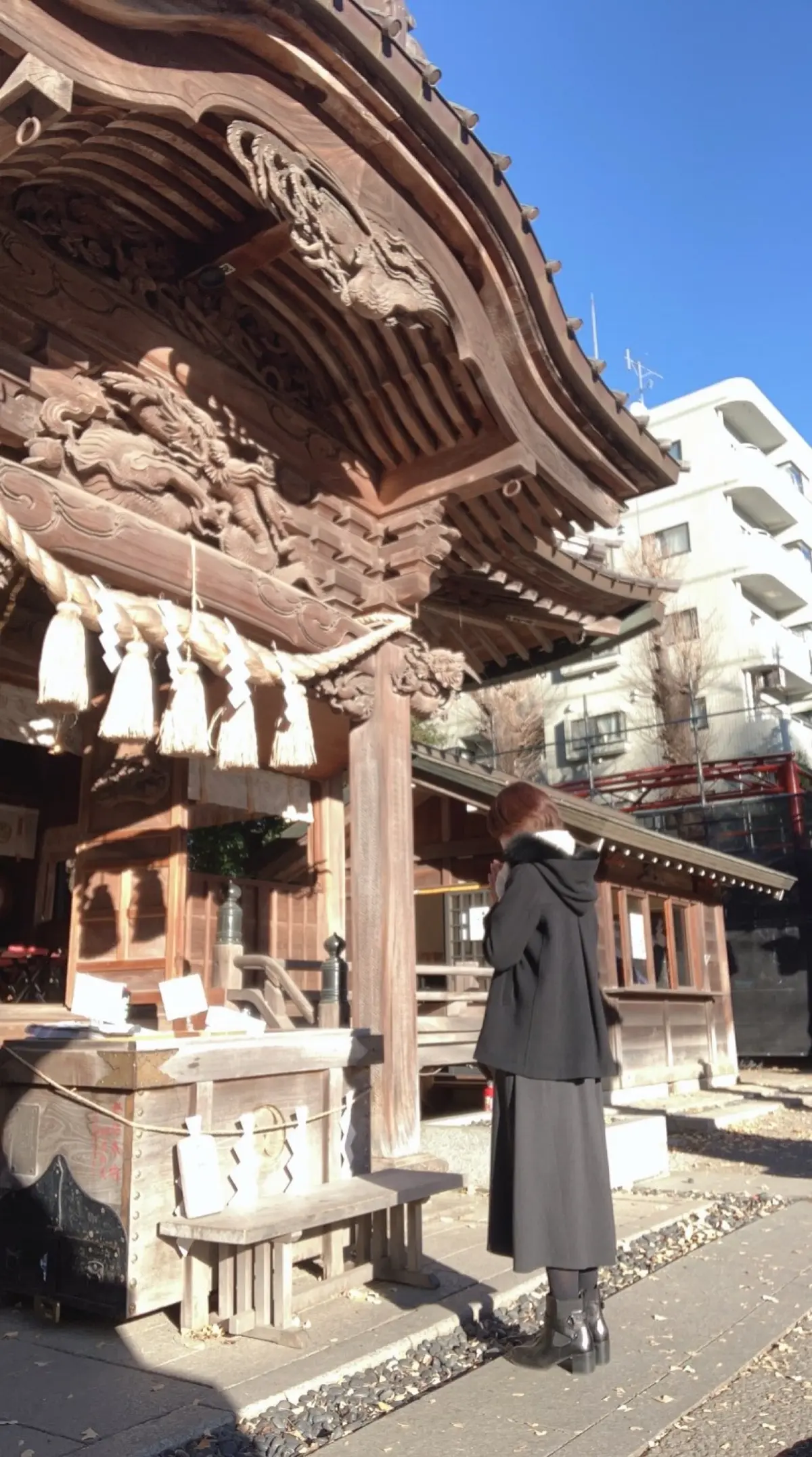 初詣　龍　東京　田無神社　干支　辰年　龍神　年末詣　幸先詣　五龍神　初詣　2024初詣　エクラブログ　jマダム