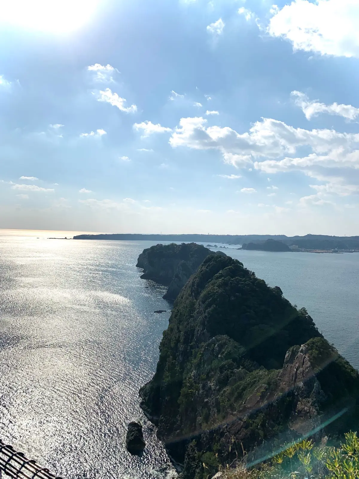 2022年　お正月旅　自然豊かな南紀勝浦の画像_7