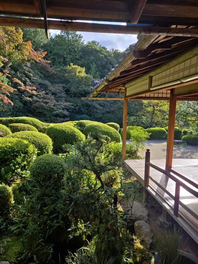 秋の京都ひとり旅・中編 ～瑠璃光院から詩の画像_14