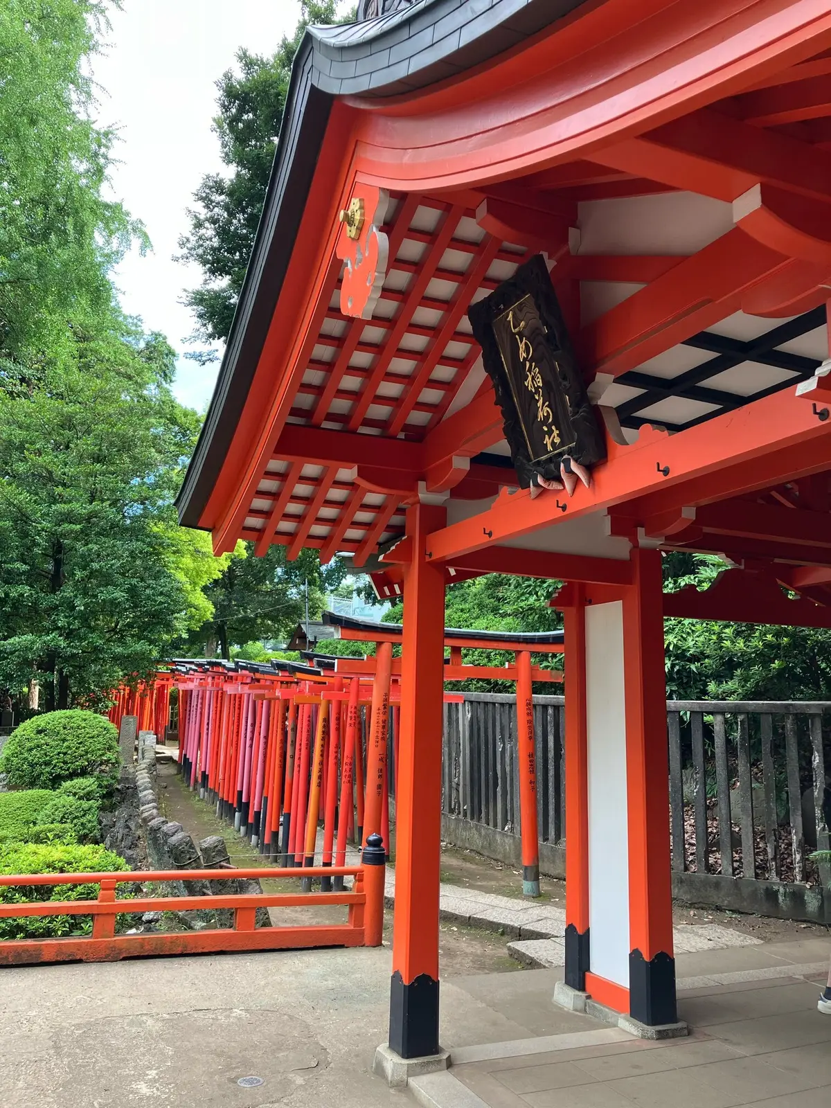 夏詣　根津神社　かざくるま祭り 千本鳥居　銭湯カフェ　MIYANOYU 宮野湯　神社　御朱印　御朱印散歩 切り絵御朱印　カフェ MATCHA&ESPRESSO MIYANO-YU