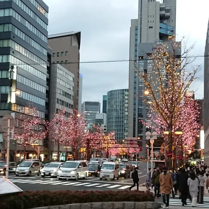 御堂筋イルミネーション    梅田