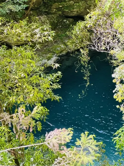 奇跡の清流（高知・仁淀川）へ、仁淀ブルーの画像_9