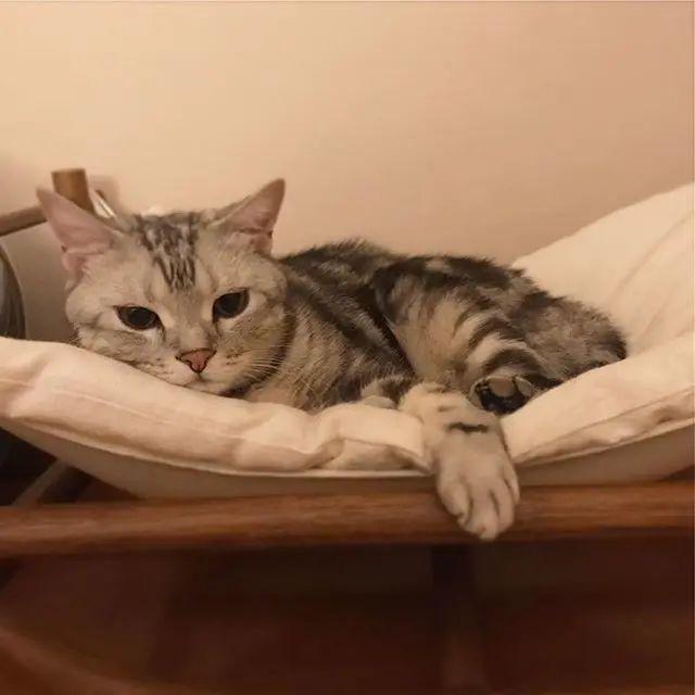 早起きはトク？の画像_2