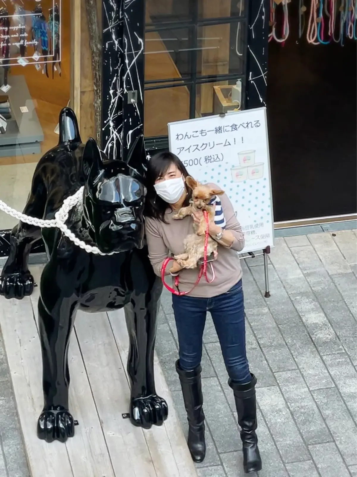 愛犬と横浜散歩の画像_3