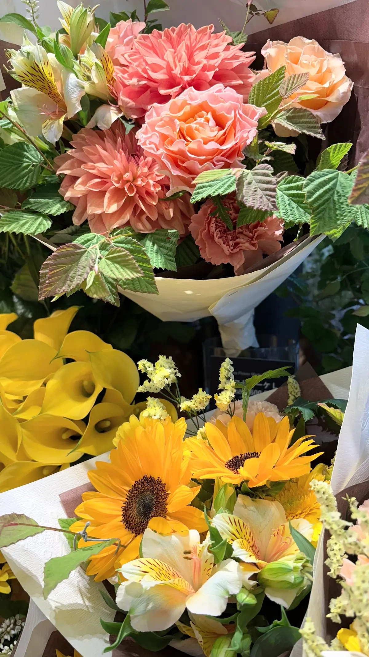 GUメンズ＆ZARATシャツ×パールネッの画像_8