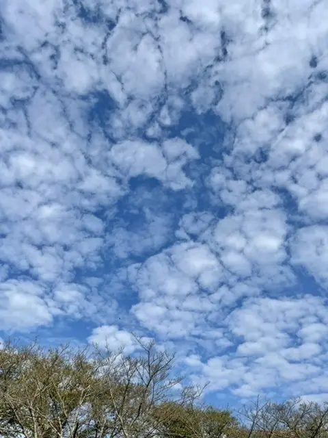 時間の使い方の画像_2