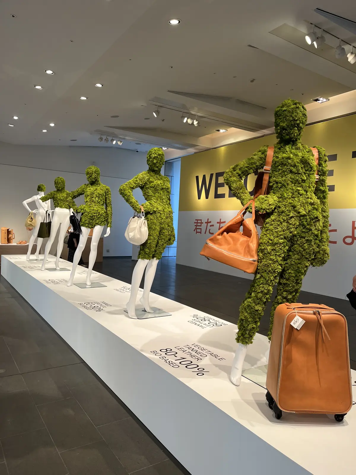 イタリア大使館無料イベントで持続可能な「の画像_2