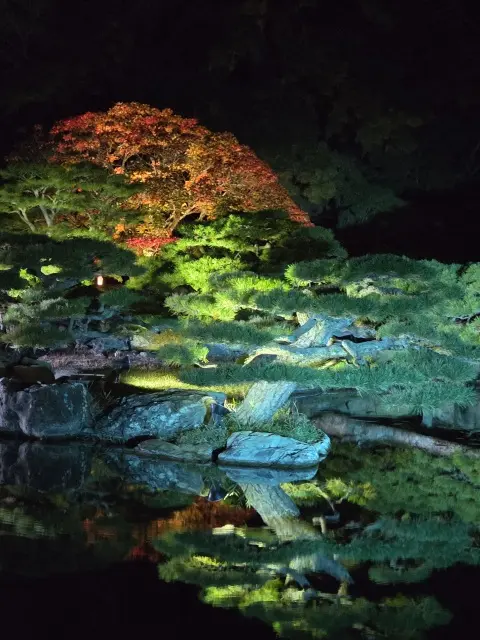 栗林公園ライトアップの画像_4