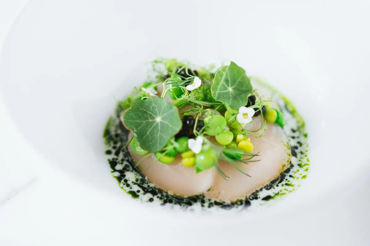 東京エディション虎ノ門 で出会う、 “日の画像_3