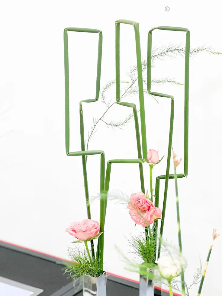 【池坊いけばな展】伝統文化の継承に感動🫠の画像_7