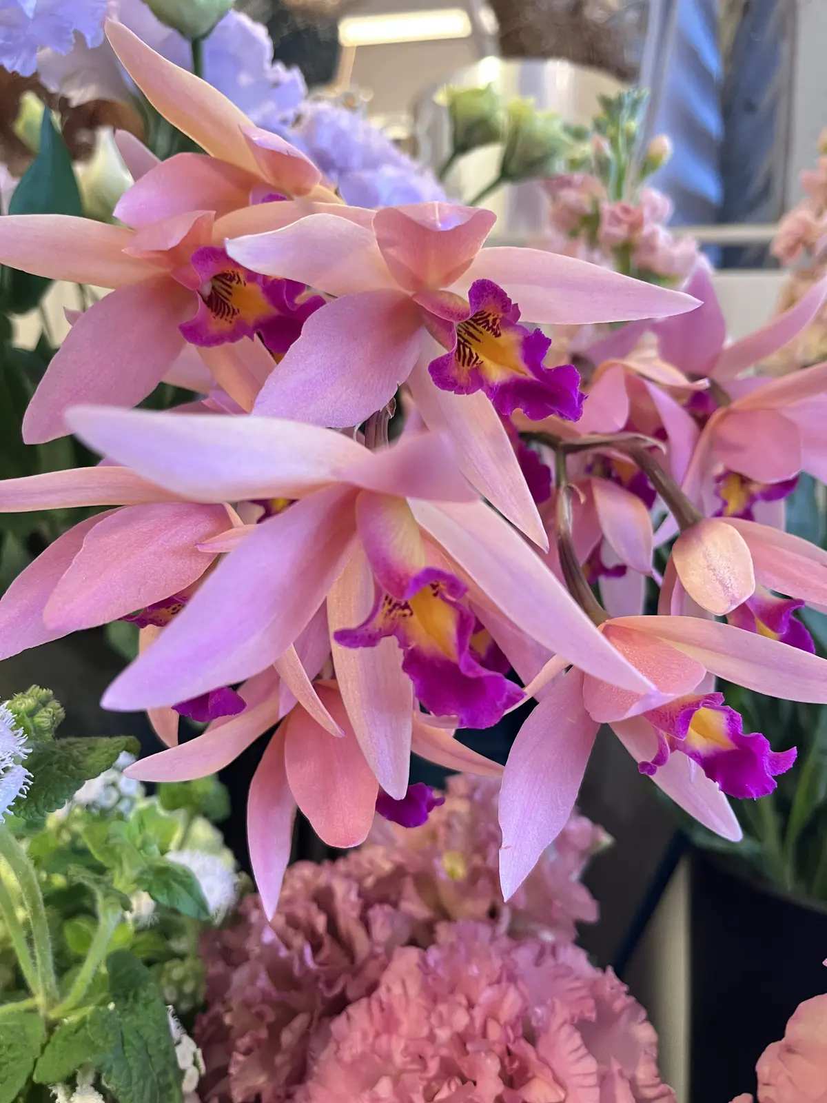 誕生日のブーケと最後にちょっとだけキラキの画像_1