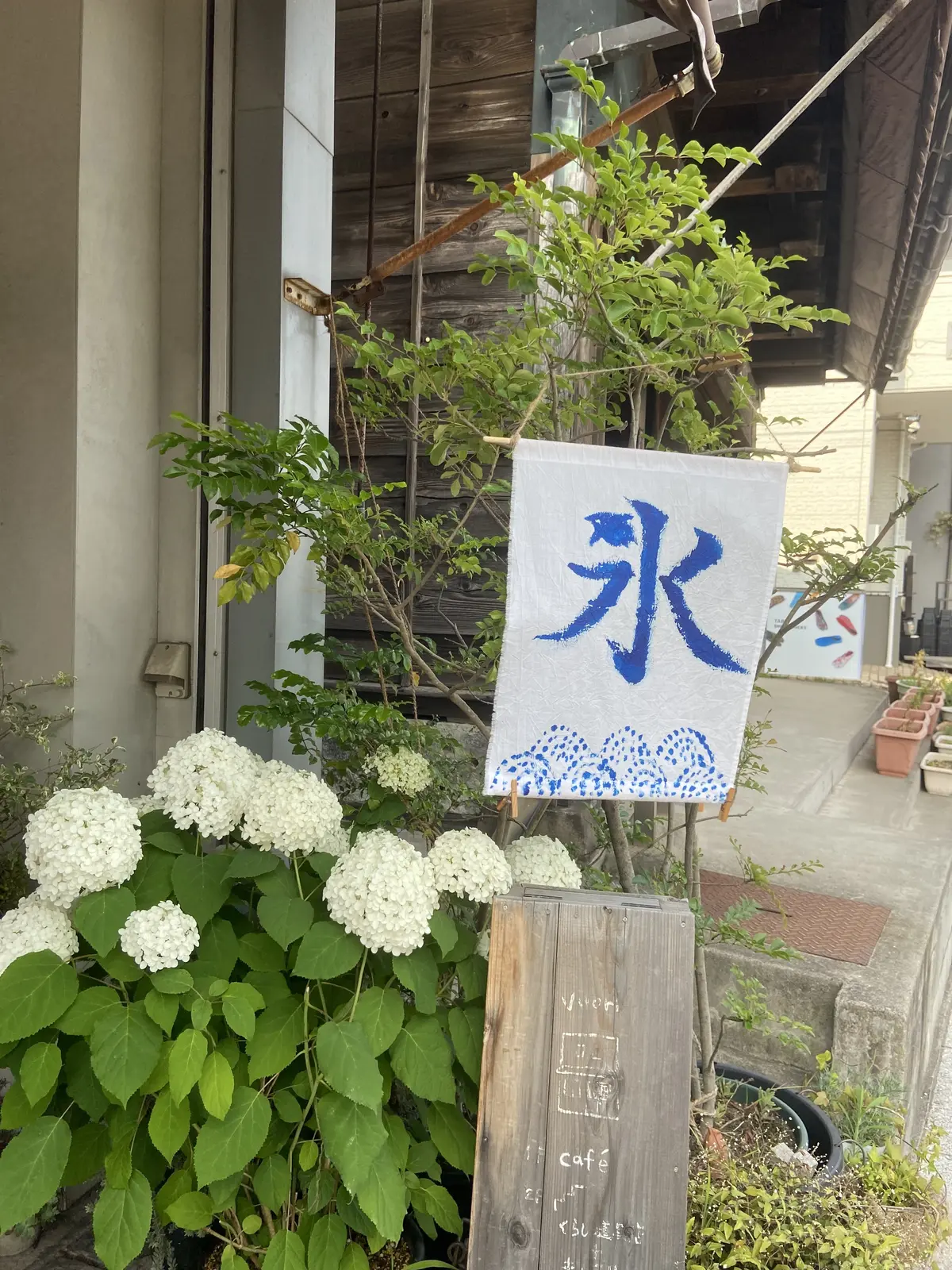 紫陽花が見頃💜大人の鎌倉遠足🎵の画像_10