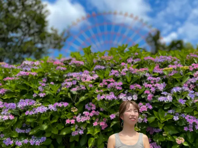 【さかぽんの冒険】朝活からの紫陽花旅☆@の画像_1