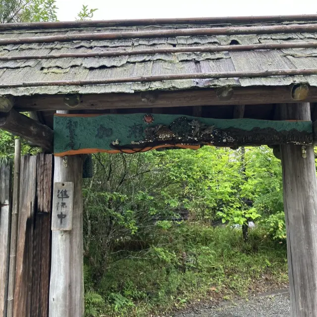 春色カラーパンツでお出かけ。南房総、山のの画像_3