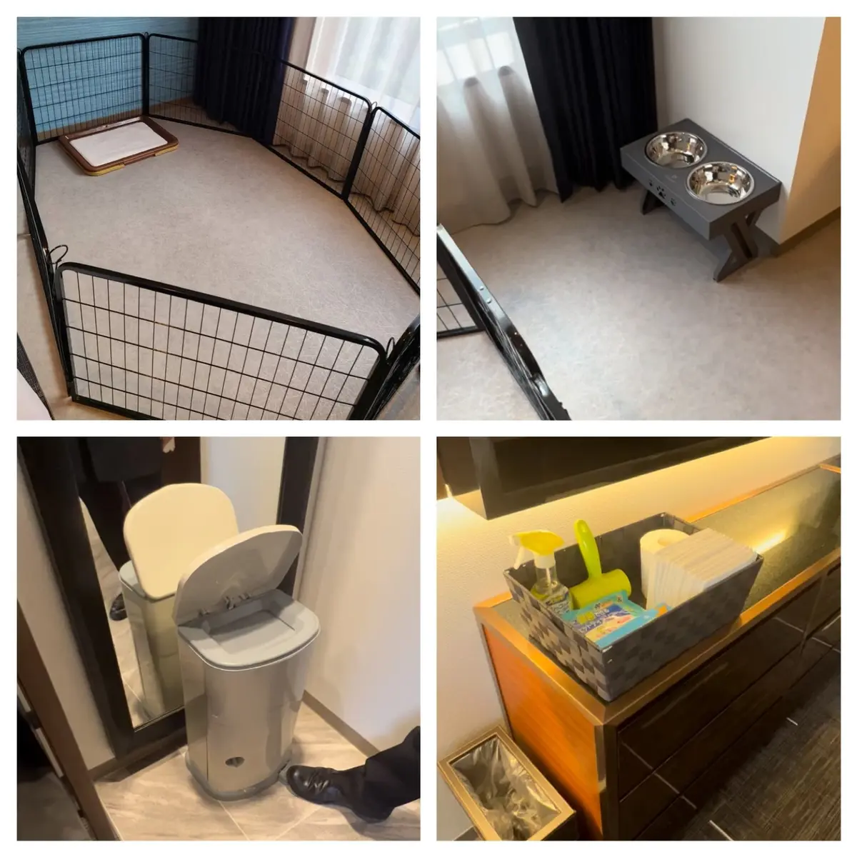 海外気分「ハイアット リージェンシー 東の画像_3