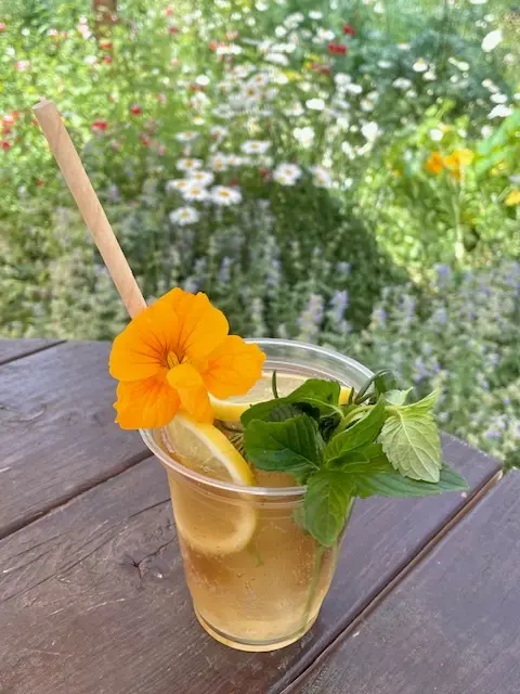 ハーブガーデンへいってきました～の画像_1