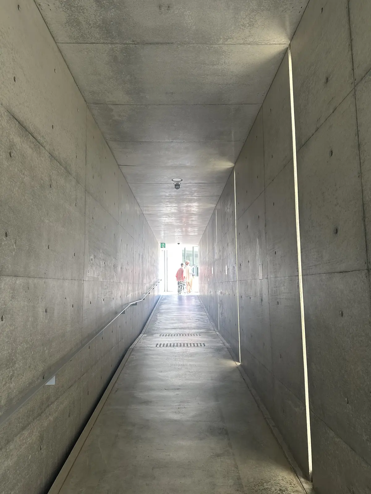 【母妹と直島アートの旅　DAY2】の画像_8